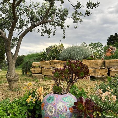 Istrian Green House بورتوروز المظهر الخارجي الصورة