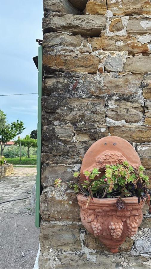 Istrian Green House بورتوروز المظهر الخارجي الصورة