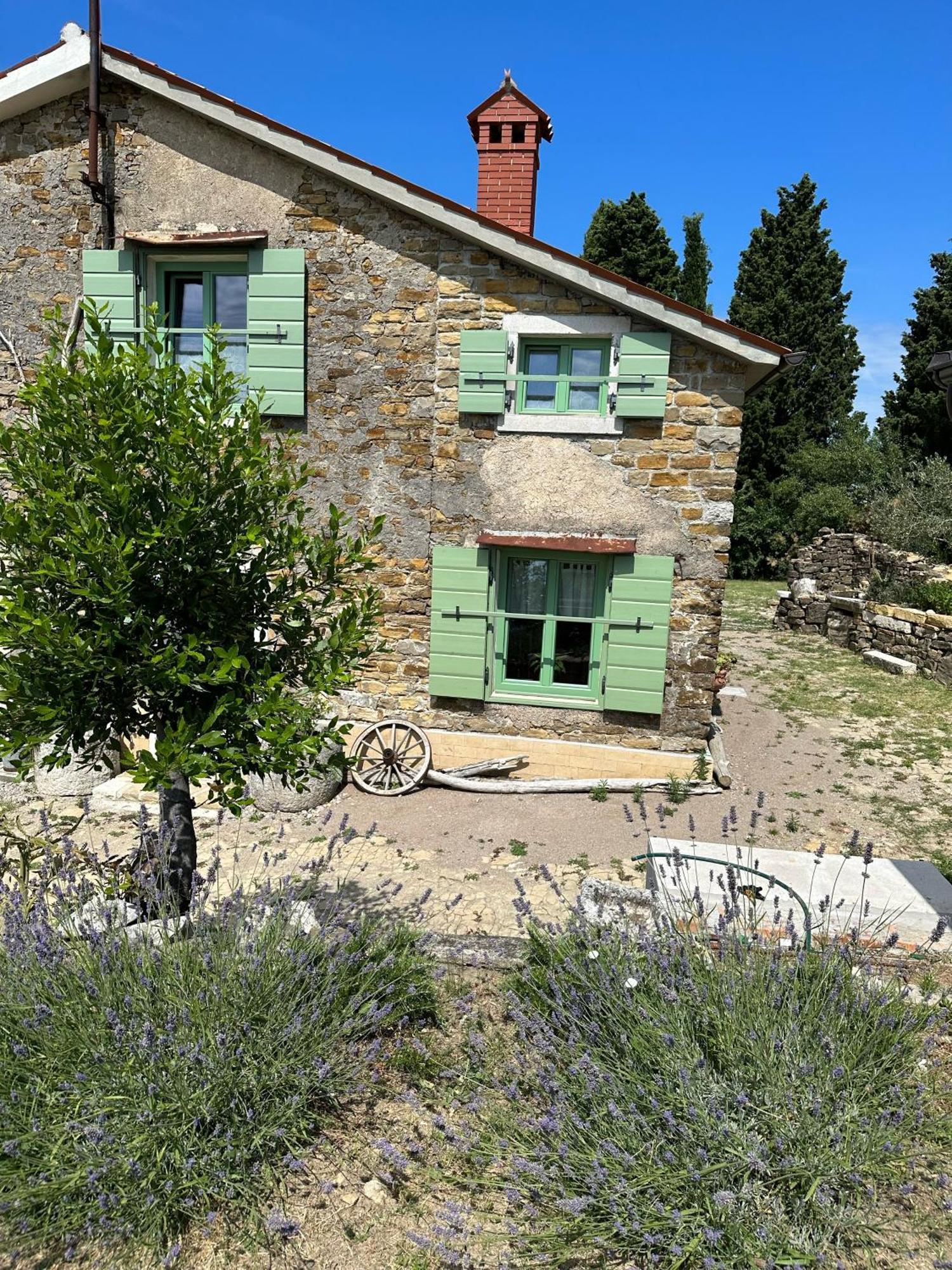 Istrian Green House بورتوروز المظهر الخارجي الصورة