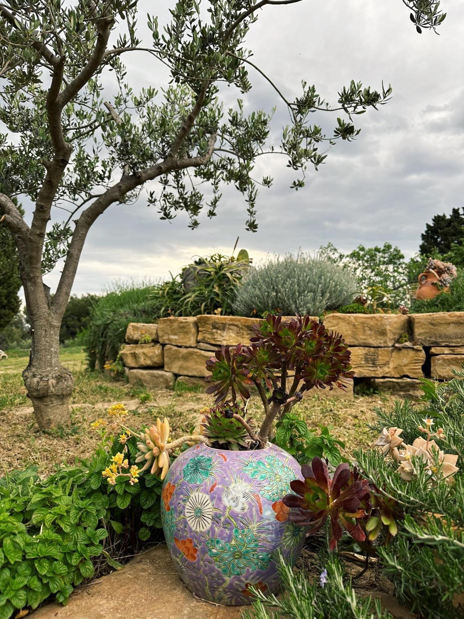 Istrian Green House بورتوروز المظهر الخارجي الصورة